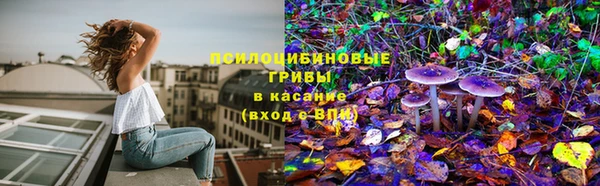 скорость Арсеньев