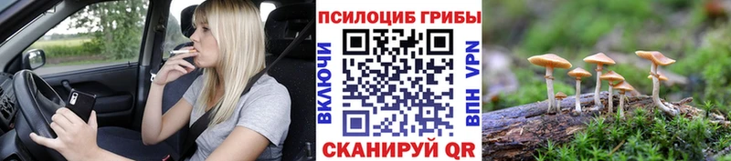 закладка  Калач-на-Дону  blacksprut ссылка  Псилоцибиновые грибы мицелий 